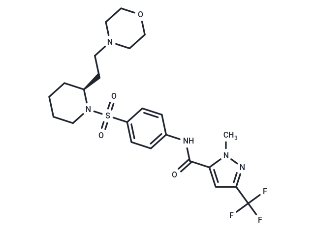 ERDRP-0519