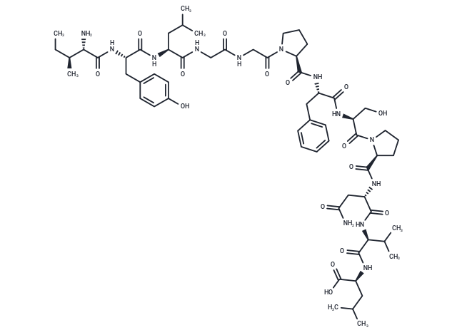 C-Reactive Protein (CRP) (174-185)