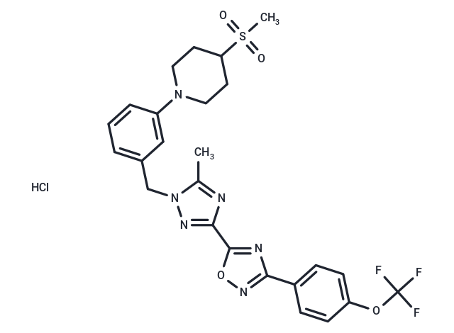 IACS-010759 hydrochloride