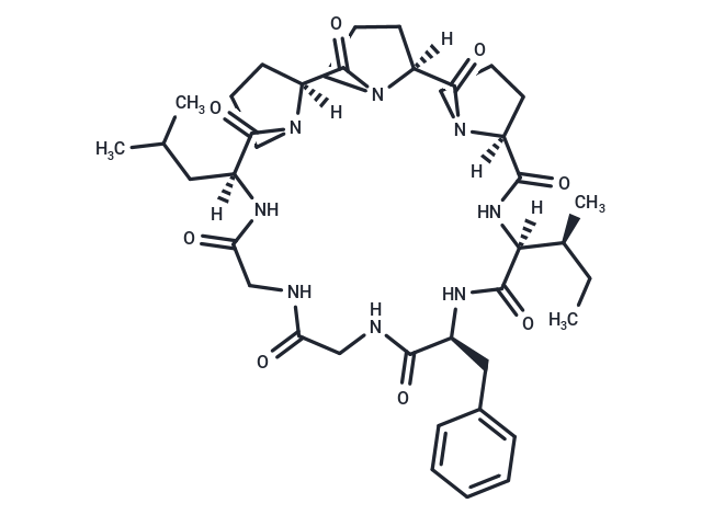 Heterophyllin B