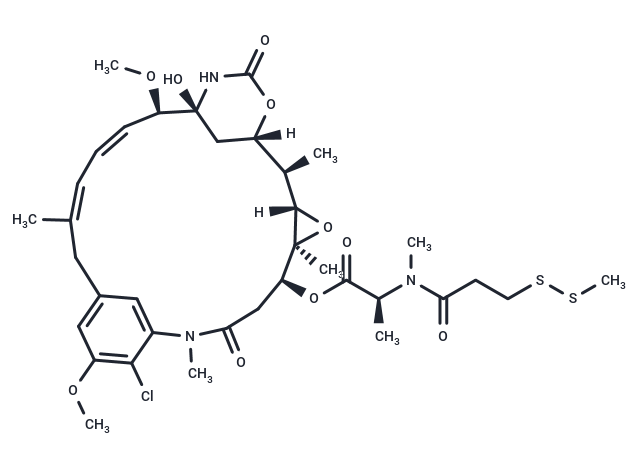 DM1-SMe