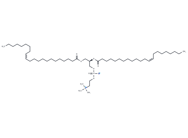 1,2-Dierucoyl-sn-glycero-3-PC