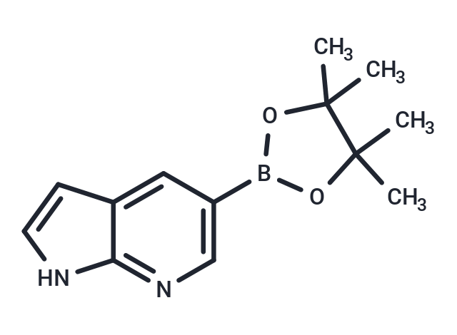 7-Azaindole-5-boronic acid pinacol ester