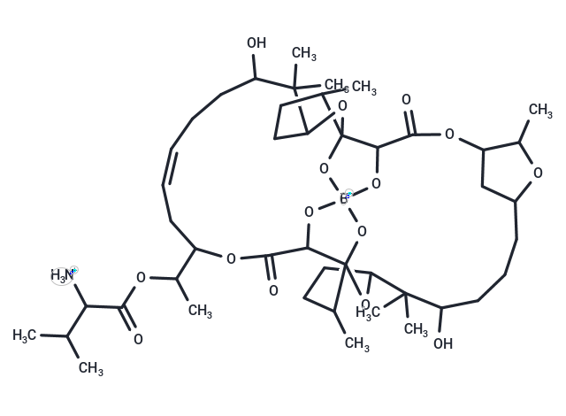 Boromycin