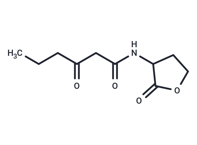 N-(Ketocaproyl)-DL-homoserine lactone