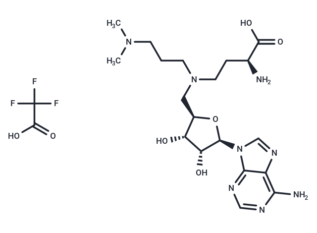 GSK2807 Trifluoroacetate