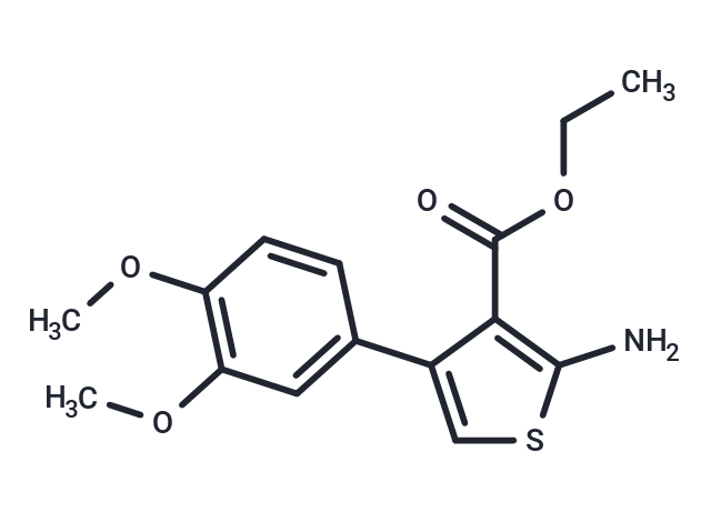 aPKC-I