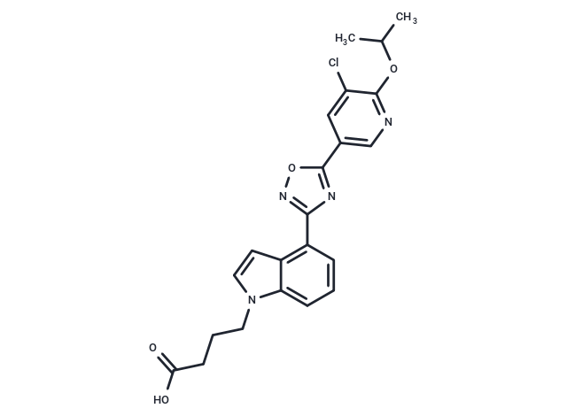 GSK2018682