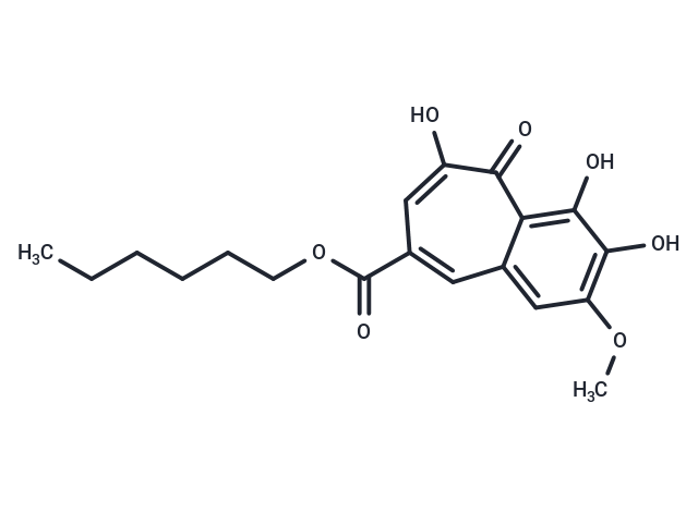 CU-CPT22