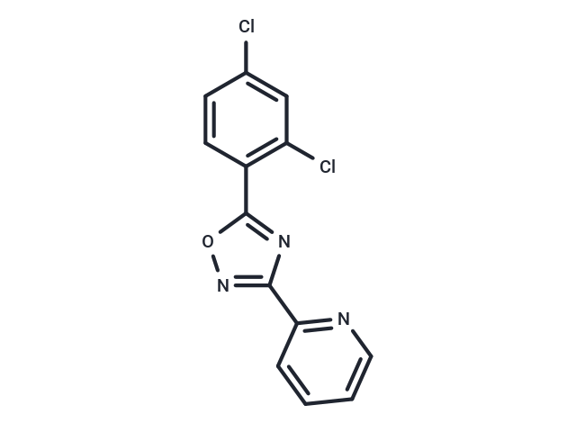 JY-2