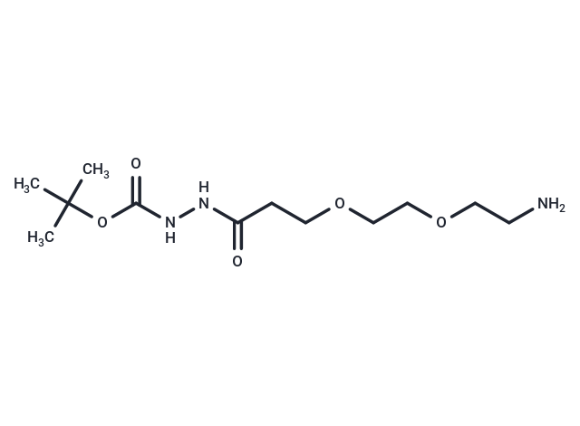 Amino-PEG2-C2-hydrazide-Boc