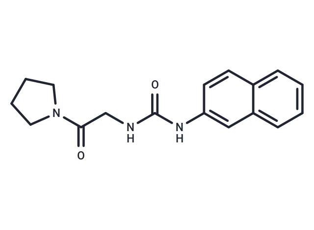 XY1