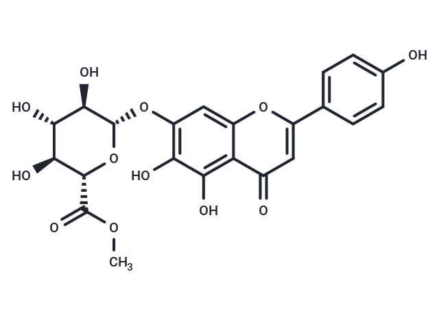 Scutellarin methyl ester