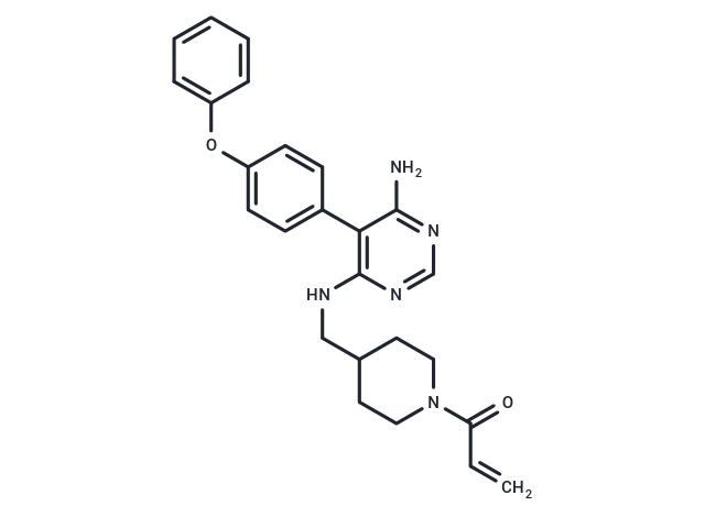 evobrutinib