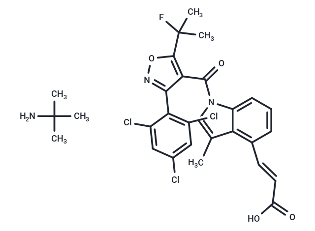 DS-1001b