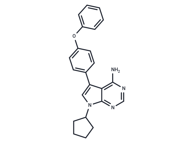 RK-24466