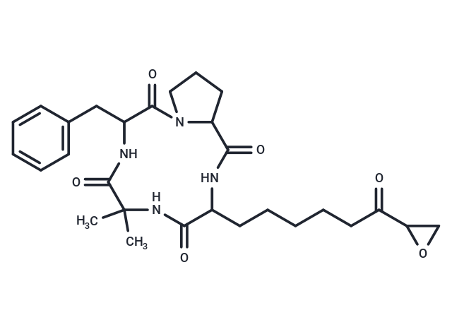 Chlamydocin