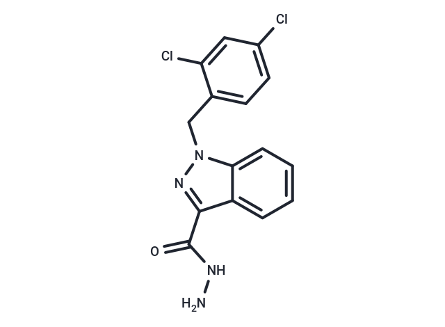 Adjudin