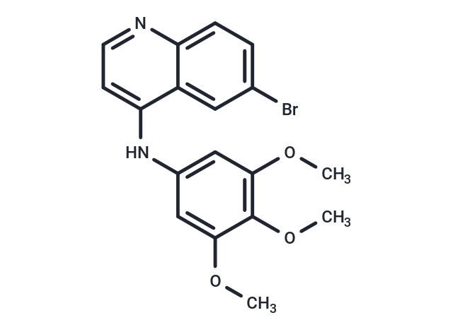 SGC-GAK-1