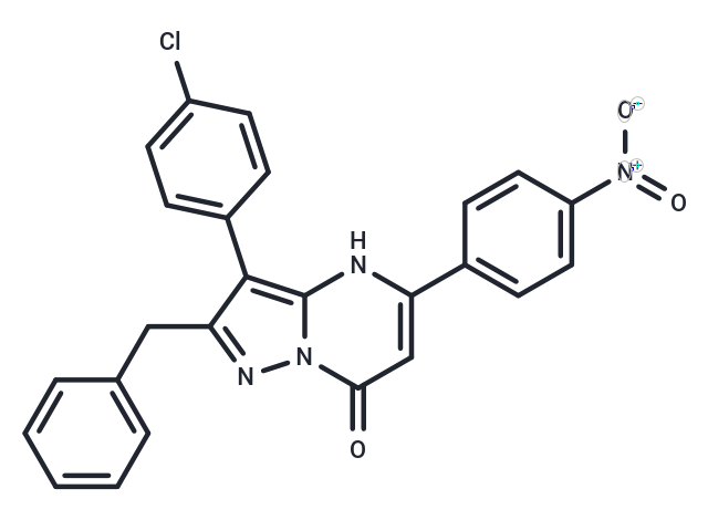 NAV-2729