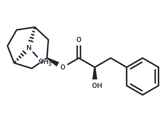 Littorine