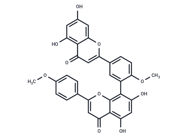 ISOGINKGETIN