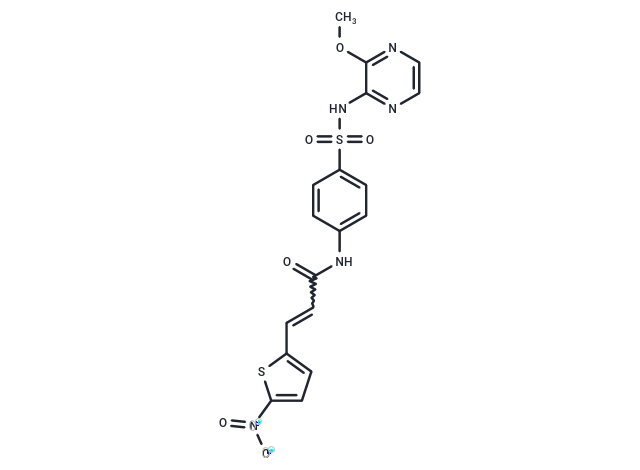 (E/Z)-Necrosulfonamide