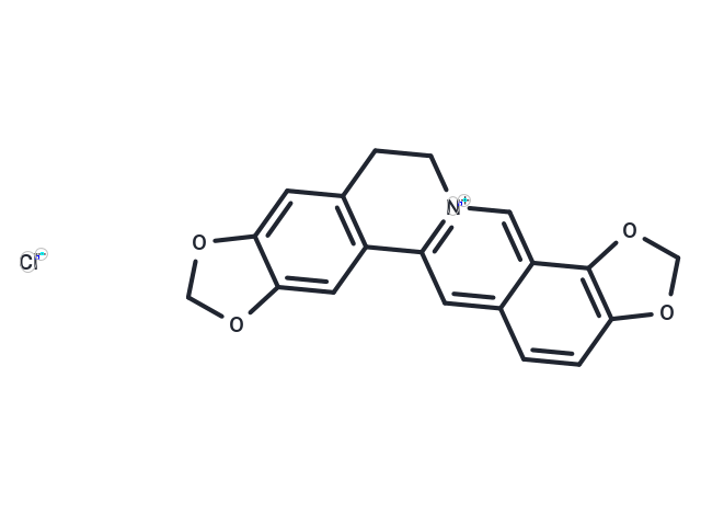 Coptisine chloride