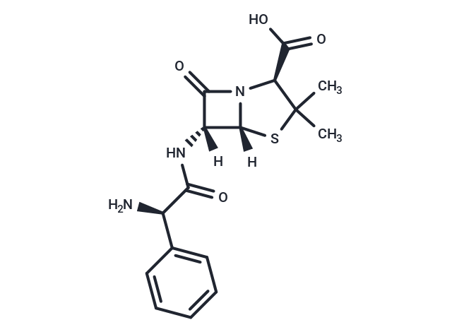 Ampicillin