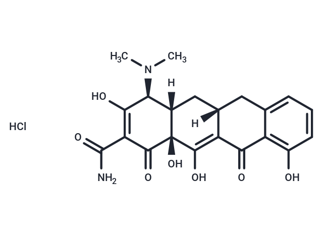 Sancycline HCl