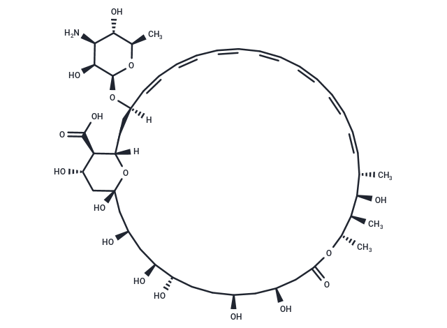 Amphotericin B