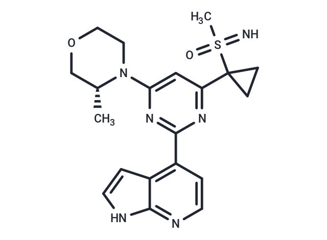 Ceralasertib