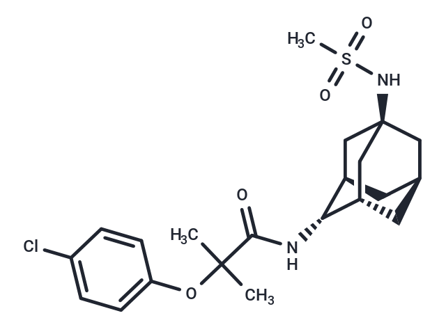 JNJ 303