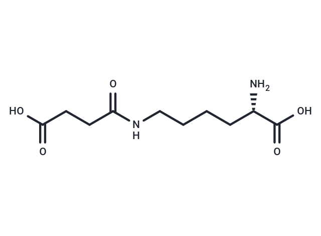 N6-Succinyllysine