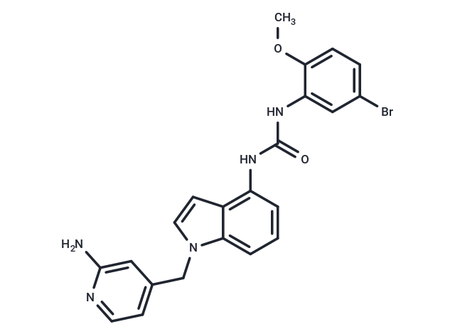 JI-101