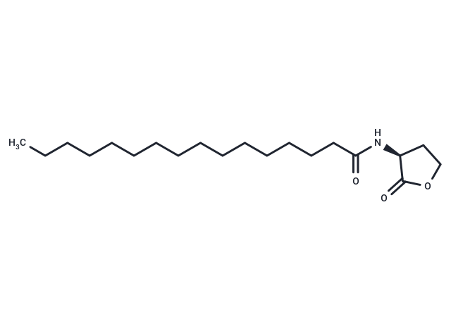 N-hexadecanoyl-L-Homoserine lactone