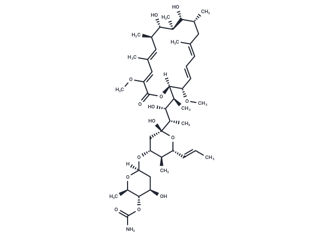 Concanamycin B