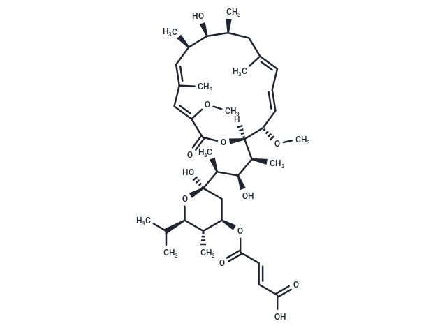 Bafilomycin C1