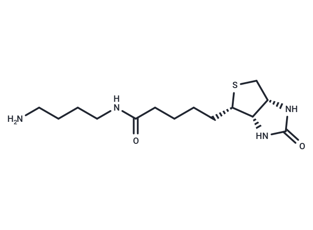 Biotin-C4-amide-C5-NH2