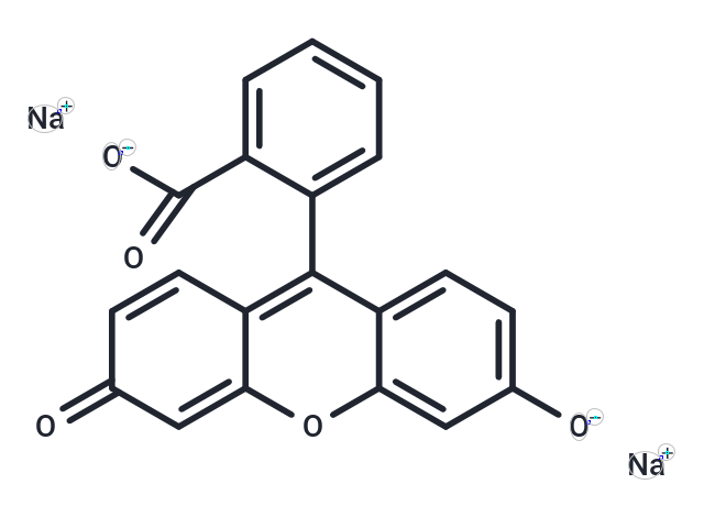 Fluorescein Sodium