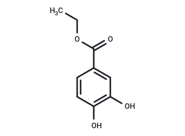 Ethyl 3,4-dihydroxybenzoate