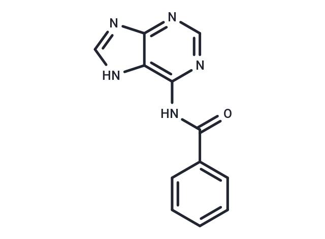 N4-Bz-adenine