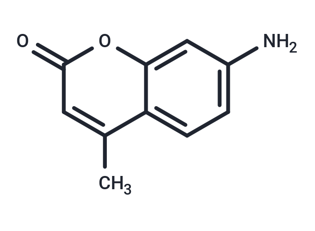 7-Amino-4-methylcoumarin