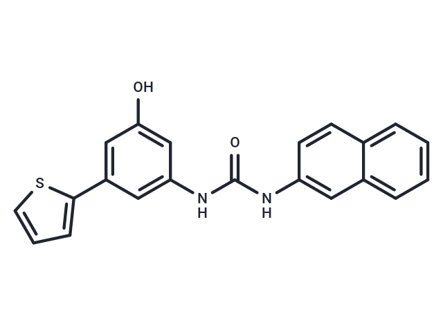 FzM1