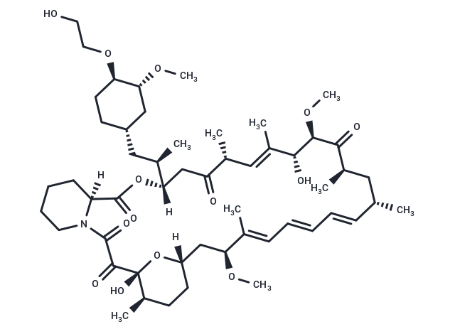 Everolimus