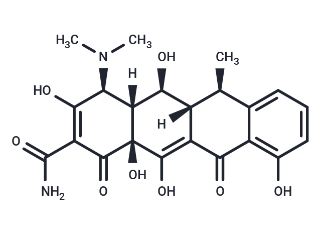 Doxycycline