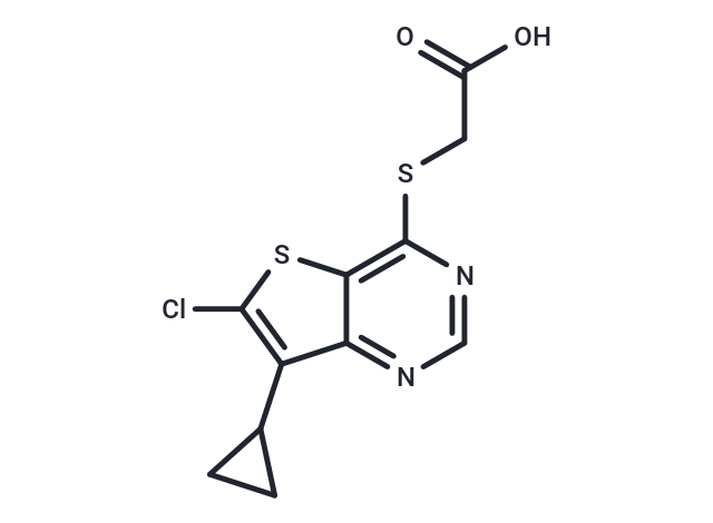 LP-922056