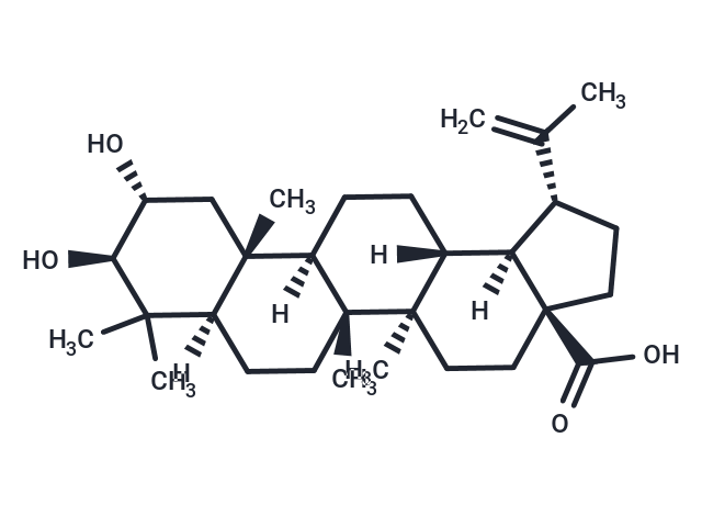 Alphitolic acid