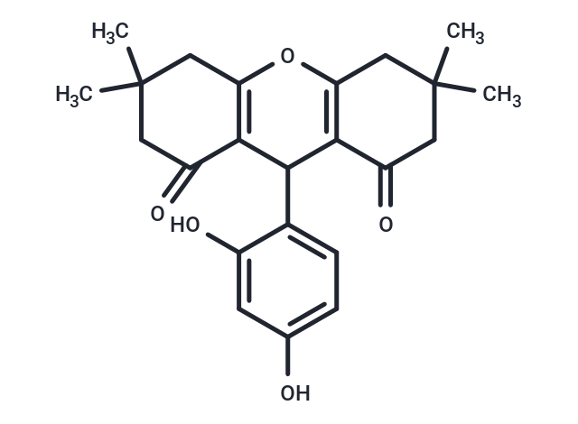 CIL62