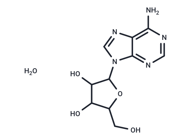 Vidarabine monohydrate